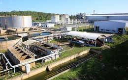 Nhà máy NLSH Dung Quất chính thức khởi động lại