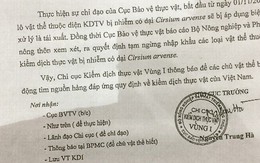 Lô hàng lúa mì giá tới 500 tỉ đồng có nguy cơ bị tái xuất vì văn bản trái thẩm quyền