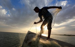 Thị trường điều chỉnh, khối ngoại trở lại mua ròng trong phiên 18/10