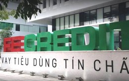 Vốn FE Credit tăng lên gần 7.330 tỷ đồng, bằng 35% tổng vốn nhóm công ty tài chính