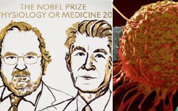 Đột phá điều trị ung thư giành giải Nobel Y học 2018, nhưng cụ thể đó là gì?