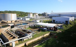 Nhiên liệu sinh học Dung Quất chính thức ra dòng sản phẩm