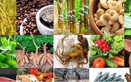 15 sản phẩm nông nghiệp được đề xuất là sản phẩm chủ lực quốc gia
