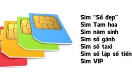 “Nghề” sim số đẹp: Được ăn cả, ngã có thể về 0