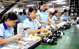 Xuất khẩu của Việt Nam sang Mỹ đã đạt trên 35 tỷ USD