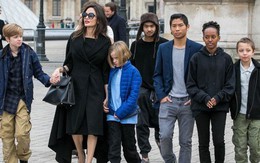 Rộ tin quyền nuôi 6 con của Angelina Jolie và Brad Pitt đã được phân chia, bất ngờ nhất là sự lựa chọn của Pax Thiên