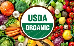 Thực phẩm Organic “bùng nổ” tại Việt Nam