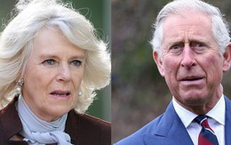 Người hâm mộ chấn động trước tin con trai chung bí mật giữa Thái tử Charles và bà Camilla đòi nhận lại cha mẹ