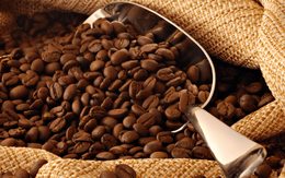 Xuất khẩu cà phê mang về gần 3 tỷ USD trong 10 tháng đầu năm