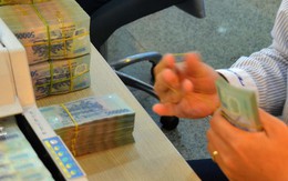Bảo hiểm tiền gửi Việt Nam dùng nguồn vốn nhàn rỗi để làm gì?