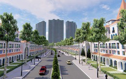 Biệt thự sinh thái ngay trong nội đô: Cuộc chơi mới của giới siêu giàu