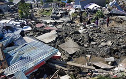 Việt Nam viện trợ 100.000 USD giúp Indonesia khắc phục hậu quả động đất