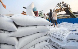 Thị trường xuất khẩu gạo "mở" thế nào sau Nghị định mới?