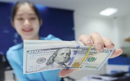 PwC: Doanh nghiệp Việt có cơ hội giải phóng lượng tiền mặt lên đến 4 tỷ USD