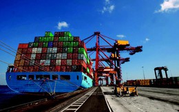 Cổ phiếu cảng biển “dậy sóng” trước dự thảo thông tư điều chỉnh khung giá dịch vụ