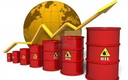 Giá dầu thế giới tăng, đe doạ CPI trong nước