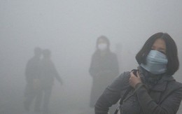 Viện Hàn lâm Khoa học Mỹ: Hít phải không khí ô nhiễm có thể làm giảm trí thông minh
