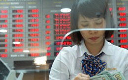 Chuyên gia nước ngoài dự báo tỉ giá USD/VNĐ của Việt Nam