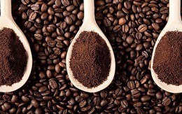 Xuất khẩu cà phê mang về hơn 2,7 tỷ USD trong 9 tháng đầu năm