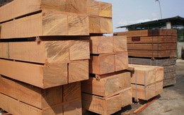Xuất khẩu gỗ và sản phẩm gỗ mang về gần 6,5 tỷ USD trong 9 tháng đầu năm 2018