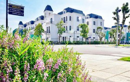 Giới đầu tư quan tâm những căn biệt thự cuối cùng tại Vinhomes Riverside – The Harmony