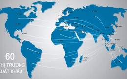 Plimsoll: Thiên Long tăng trưởng doanh thu cao nhất Đông Nam Á trong ngành văn phòng phẩm