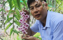 Hà Tĩnh: Thầy giáo dạy sinh học trường làng sở hữu vườn lan tiền tỷ