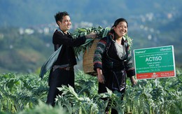 Traphaco Sapa với sứ mệnh “sức khỏe xanh” cùng các sản phẩm từ atiso