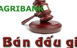 Agribank bán đấu giá khoản nợ 144 tỷ đồng của Đông Thiên Phú