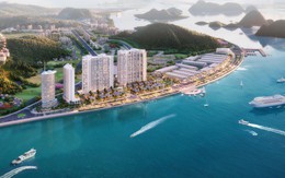 Condotel Sapphire Hạ Long - sinh lời vượt trội, tối thiểu 10% năm