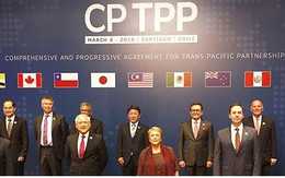 Hiệp định CPTPP - Cú huých để kinh tế tư nhân phát triển