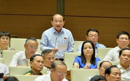 ĐBQH Nguyễn Thanh Hiền: Hạn chế dùng tiền mặt góp phần ngăn ngừa tham nhũng
