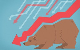Morgan Stanley: "Chúng ta đã rơi vào phạm vi của thị trường con gấu"