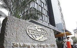 Ai là chủ của An Quý Hưng, công ty sẽ chi gần 7.400 tỷ đồng để mua cổ phần Vinaconex từ tay SCIC?