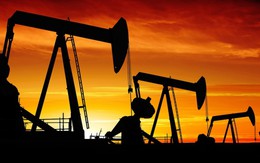 Giá dầu giảm sốc, cổ phiếu dầu khí sẽ ra sao?