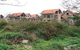 Phó Thủ tướng cho ý kiến về kết luận thanh tra dự án khu chung cư, biệt thự Quang Minh