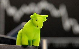 Khối ngoại mua ròng phiên thứ 2 liên tiếp, tập trung “gom” VNM