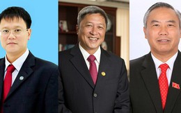 Thủ tướng Chính phủ bổ nhiệm 3 Thứ trưởng