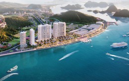 Giải mã lý do 90% BWP Sapphire Hạ Long đợt 1 có chủ sau một tuần ra mắt