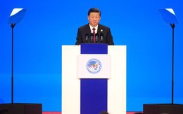 Chủ tịch Trung Quốc Tập Cận Bình nhắc tới luật rừng khi chỉ trích ông Trump