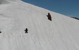 Video chú gấu con kiên nhẫn leo lên đỉnh núi tuyết truyền cảm hứng cho hàng triệu người với thông điệp: Đừng bao giờ bỏ cuộc!