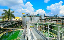 Hòa hợp cùng môi trường – nguyên tắc vàng cho sự phát triển bền vững