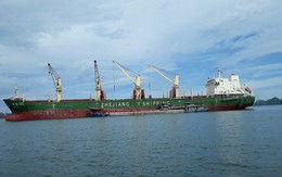 Lợi nhuận sau thuế của Việt Phát tăng 135.4% trong Quý 3