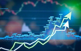 Tôi đã kiếm 40 nghìn đô la từ thị trường chứng khoán trong vòng 6 tháng