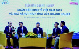 Lạc quan kinh tế Việt Nam 2019