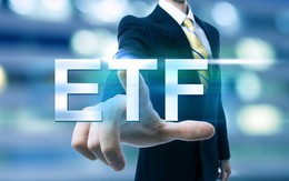 Thấy gì đằng sau việc khối ngoại chi hàng trăm tỷ đồng mua chứng chỉ quỹ VFMVN30 ETF chỉ trong vài phiên giao dịch?