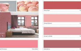 Xu hướng sắc màu năm 2019 - TOA The Color Story