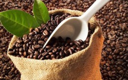 Xuất khẩu cà phê sang thị trường Nga tăng trưởng 3 chữ số