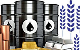 Thị trường ngày 18/12: Giá dầu WTI rớt mạnh xuống dưới 50 USD/thùng, cao su lập đỉnh 2 tháng