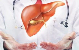 Những con số báo động về bệnh gan, tim mạch ở Việt Nam và giải pháp hiệu quả từ Lyco-Prevent